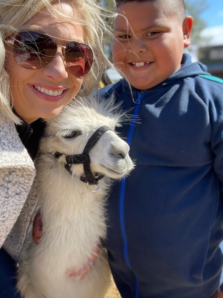We ❤️ Annie the 🦙